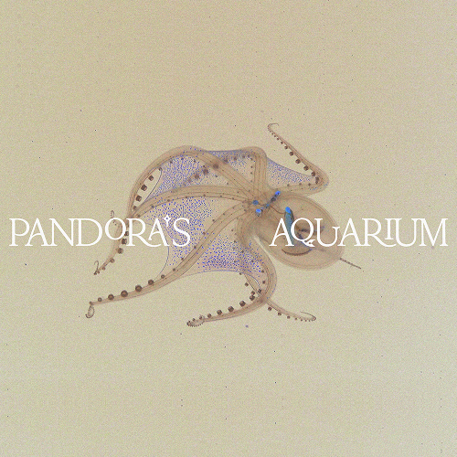 Pandora’s Aquarium by Olivia M Ross